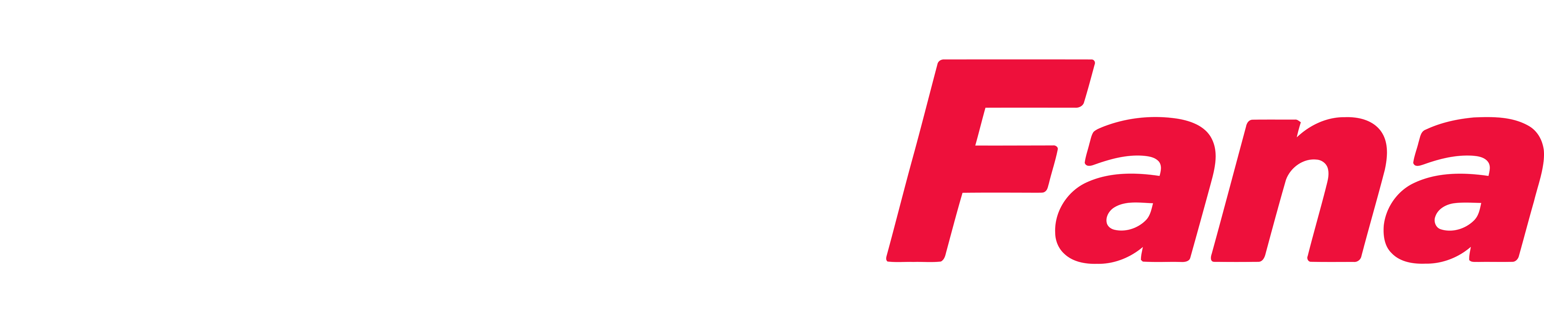 BigFana